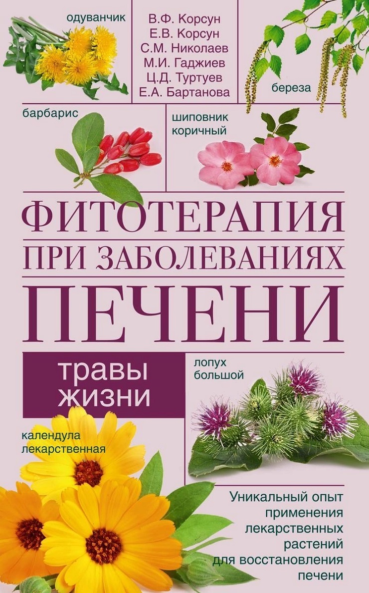 Фитотерапия при заболеваниях печени. Травы жизни [Владимир Корсун ...