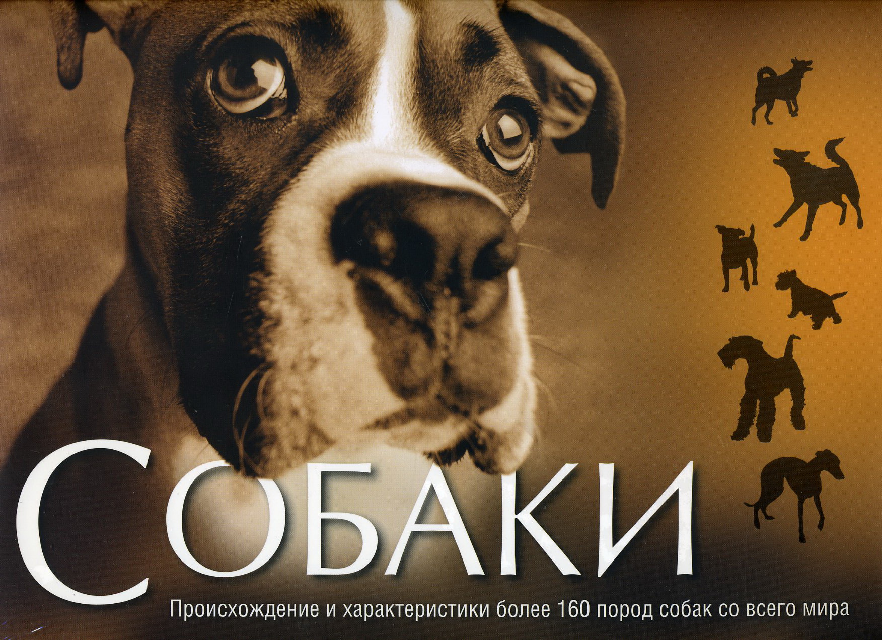 Собаки. Происхождение и характеристики более 160 пород собак со всего ...