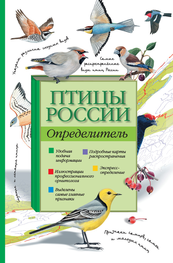 Бухгалтерский учет учебник кондраков.
