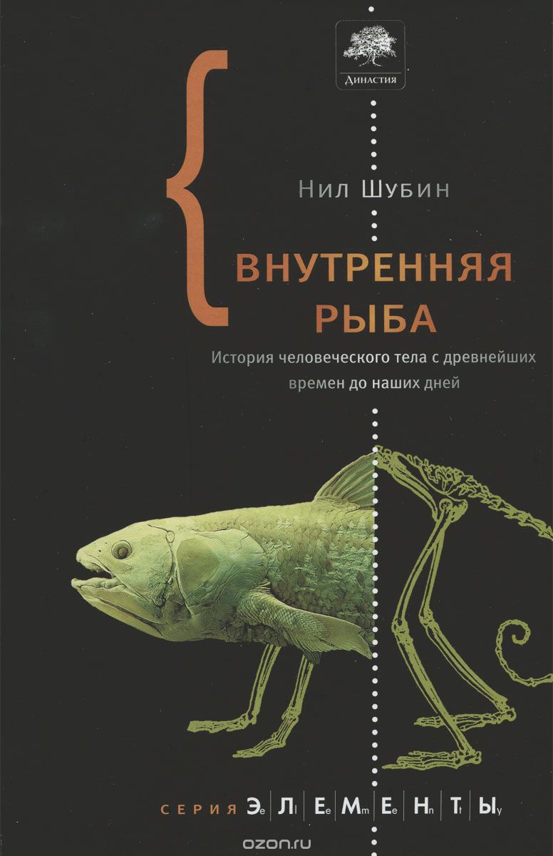 Внутренняя рыба. История человеческого тела с древнейших времен до наших дней — Нил Шубин