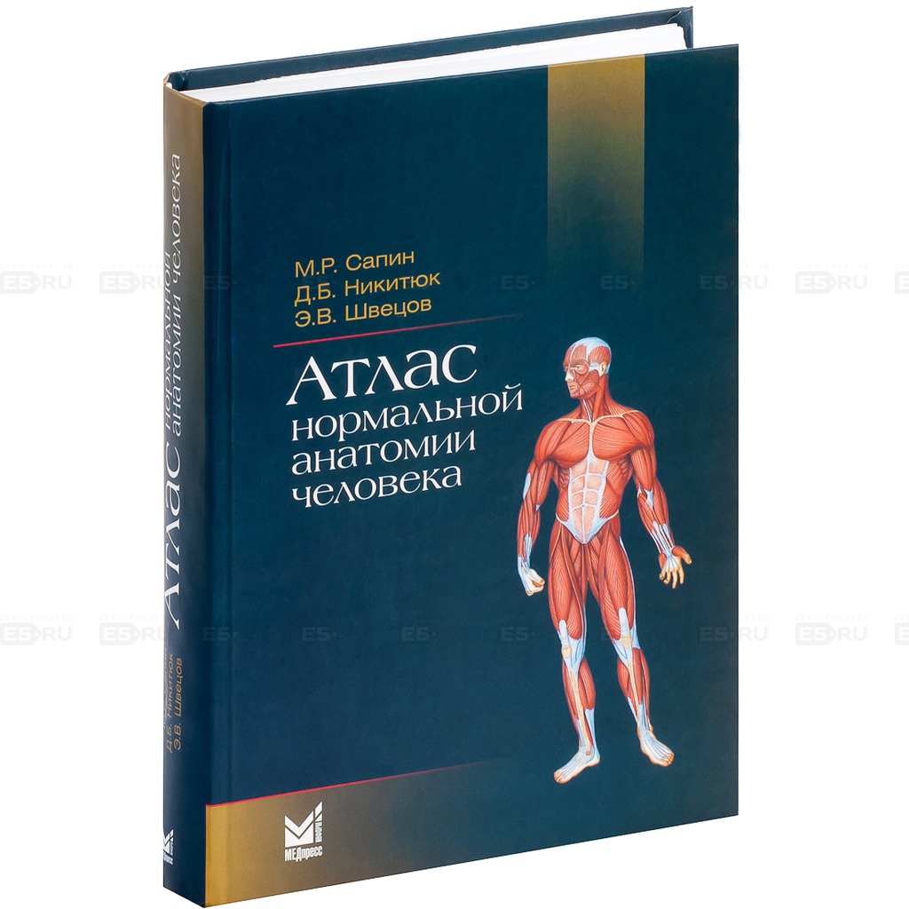 Скачать анатомия человека сапин в формате pdf