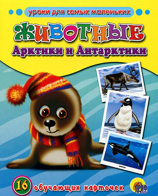 Животные Арктики и Антарктики. 16 обучающих карточек купить книгу в ...