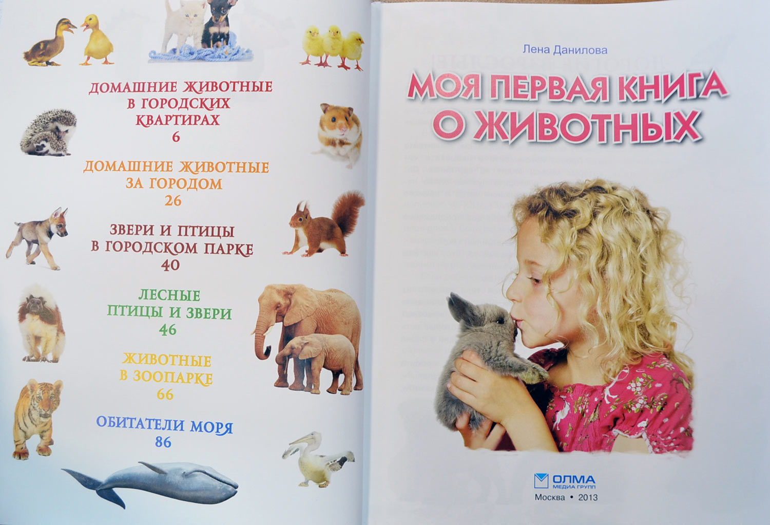Моя первая книга о животных — Лена Данилова купить книгу в Киеве ...