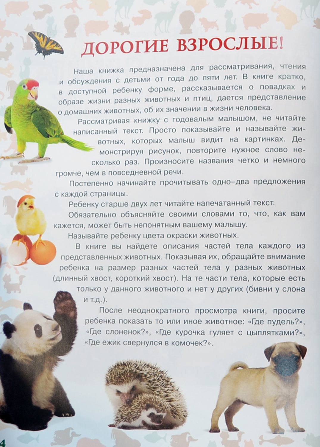 Моя первая книга о животных — Лена Данилова купить книгу в Киеве ...