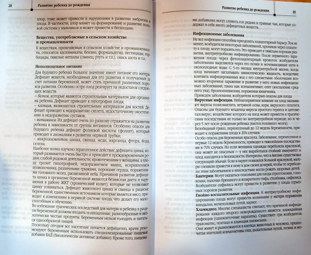 free word formation and creolisation the case of early