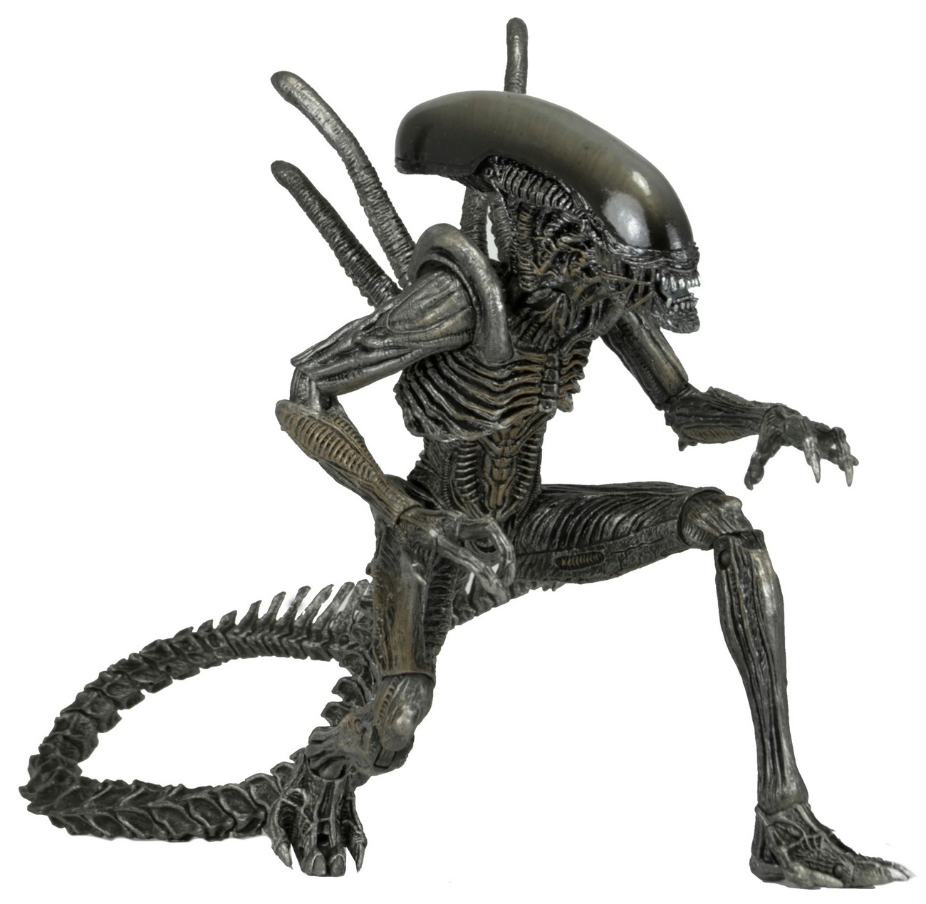 Alien vs Predator Warrior Alien Action Figure - 7" фигурка купить в ...
