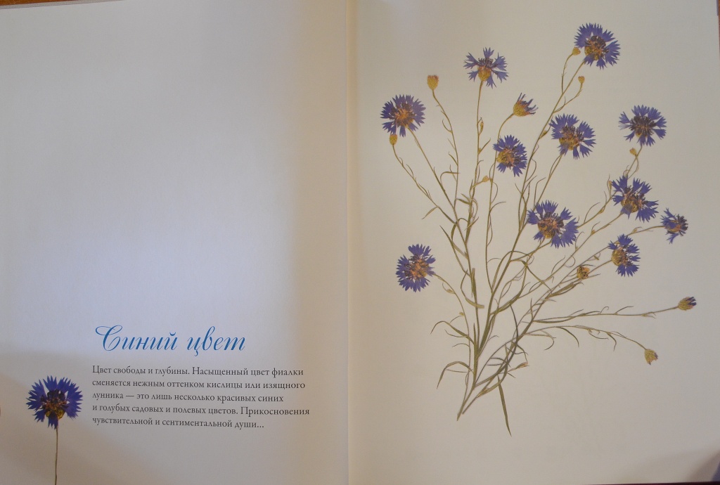 Садовые цветы, вышитые крестом — Вероник Ажинер купить книгу в Киеве ...
