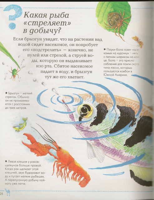 Большая детская энциклопедия. Махаон. Детская познавательная