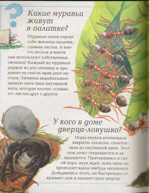 11. 12. 13. из 50 для. Источник. книги Большая детская энциклопедия