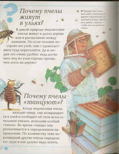 Источник. книги Большая детская энциклопедия. следующая. Елена. 9. 8