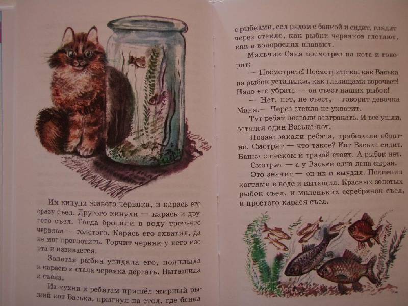 Рассказы про зверей и птиц— Евгений Чарушин купить книгу в Киеве ...
