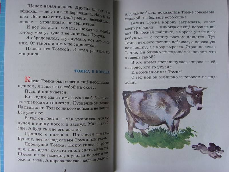 Рассказы про зверей и птиц— Евгений Чарушин купить книгу в Киеве ...
