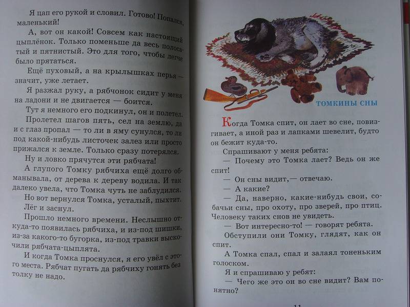 Рассказы про зверей и птиц— Евгений Чарушин купить книгу в Киеве ...