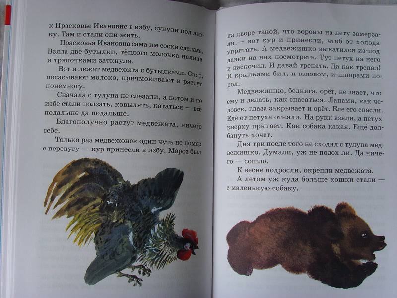 Рассказы про зверей и птиц— Евгений Чарушин купить книгу в Киеве ...