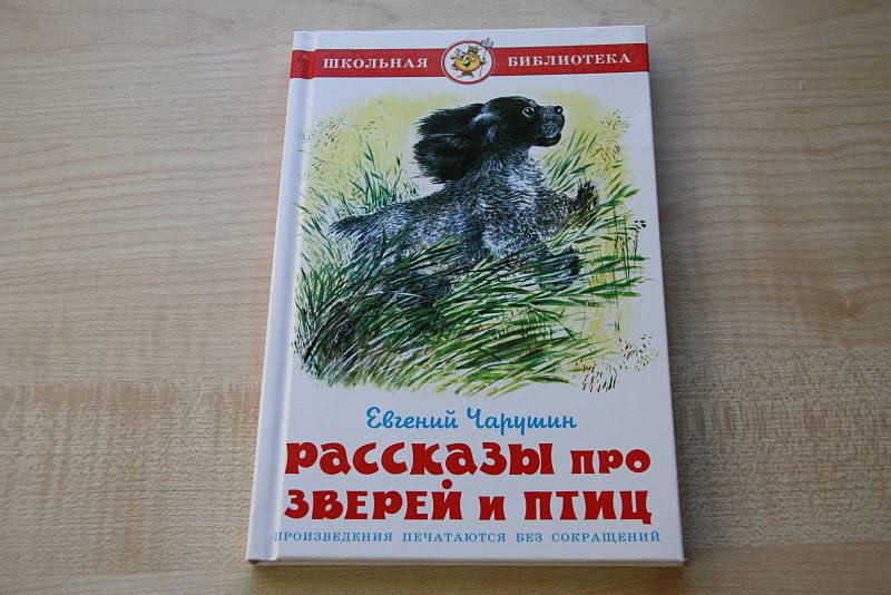 Рассказы про зверей и птиц— Евгений Чарушин купить книгу в Киеве ...