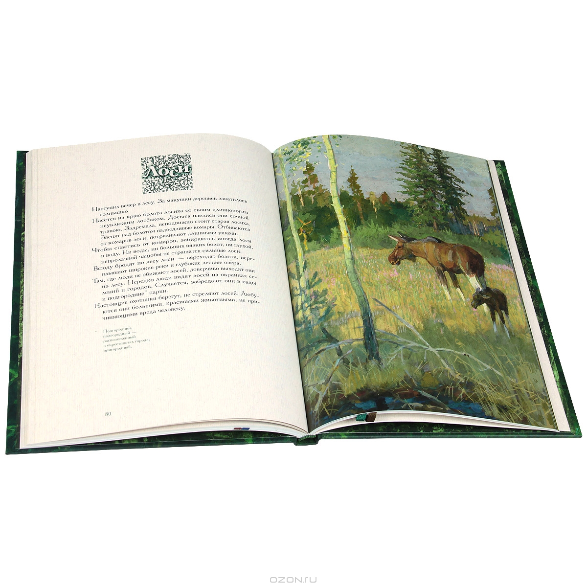 Год в лесу — Иван Соколов-Микитов купить книгу в Киеве (Украина ...
