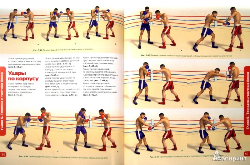 Павел ситников бокс книга тренер скачать