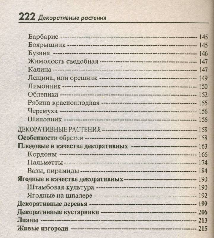Обрезка плодовых и декоративных деревьев и кустарников — Роман Кудрявец ...