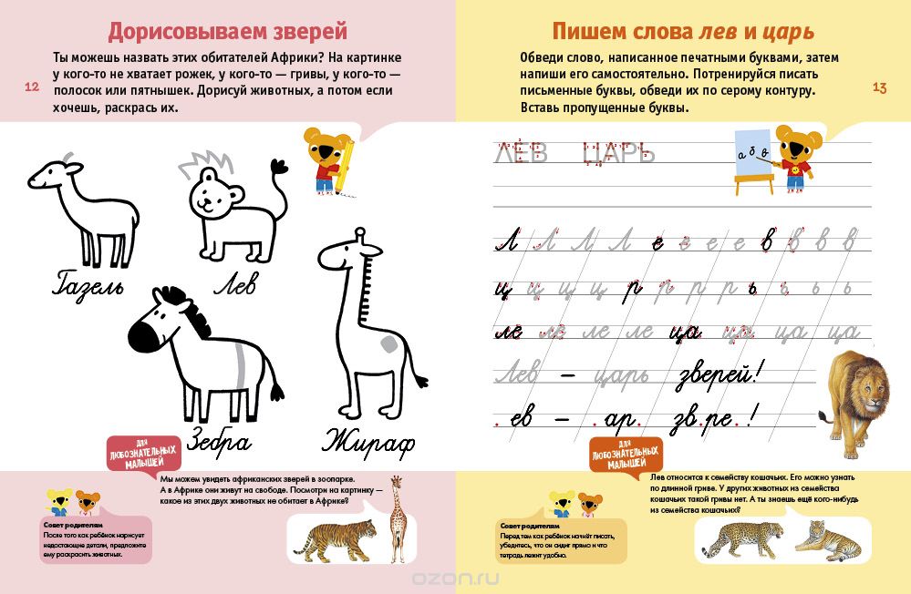 Готовим руку к письму. 5-6 лет (+ наклейки) — Фабьенн Руссо, Южетт Шове ...