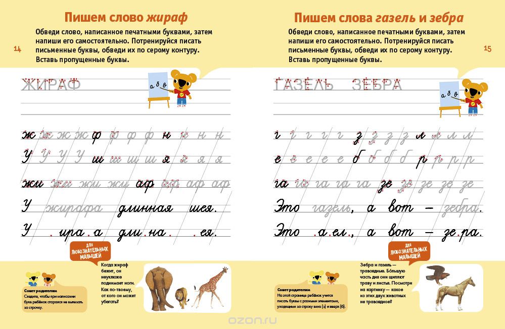 Готовим руку к письму. 5-6 лет (+ наклейки) — Фабьенн Руссо, Южетт Шове ...