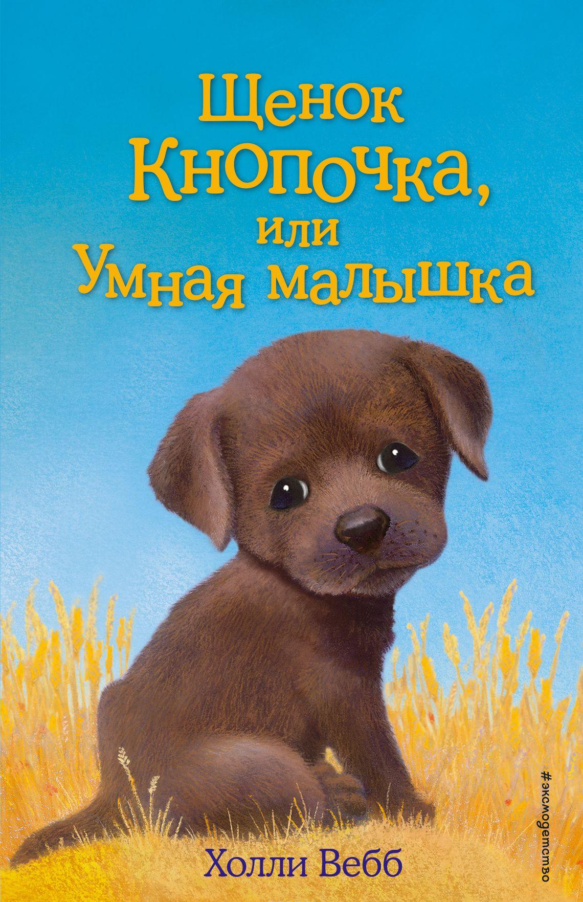 Щенок Кнопочка, или Умная малышка [Холли Вебб] купить книгу в Киеве ...