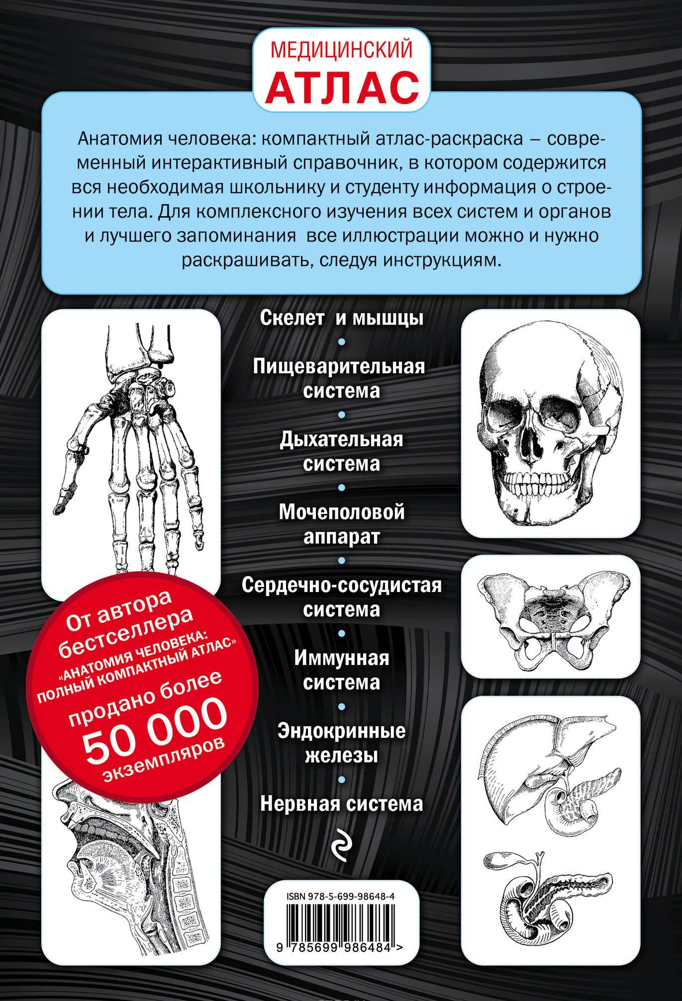 Анатомия человека. Компактный атлас-раскраска [Юрий Боянович] купить ...