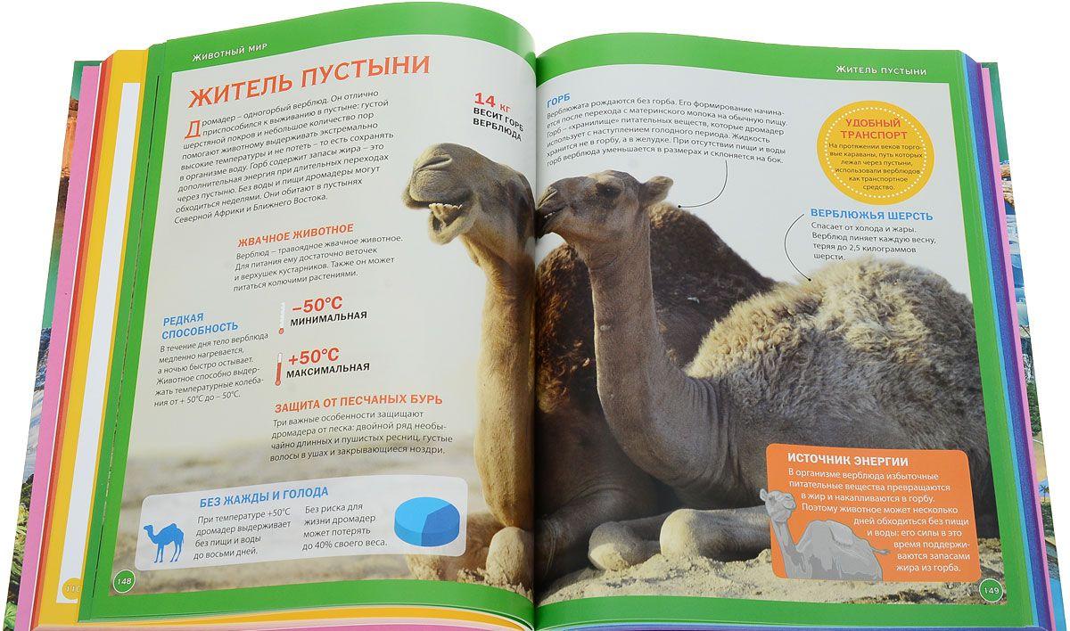 Новая энциклопедия только для девочек [] купить книгу в Киеве, Украина ...