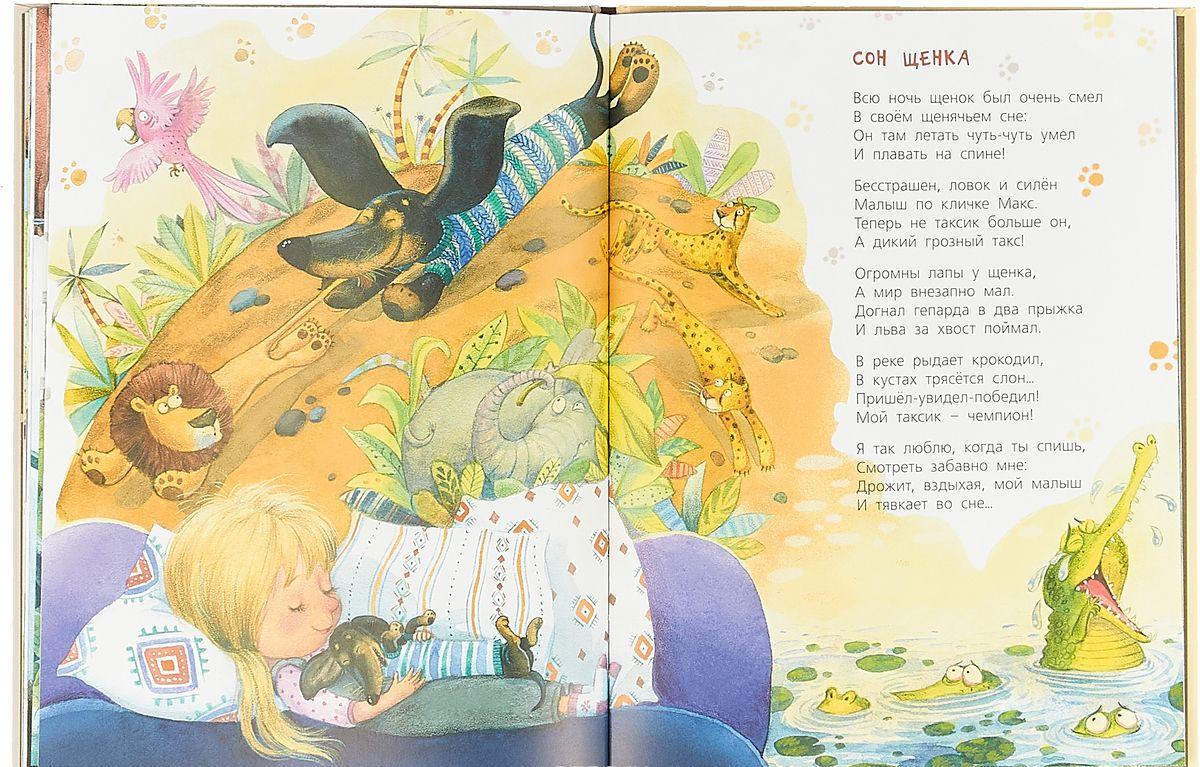 Жизнь собачья. Стихи [Ксения Валаханович] купить книгу в Киеве, Украина ...