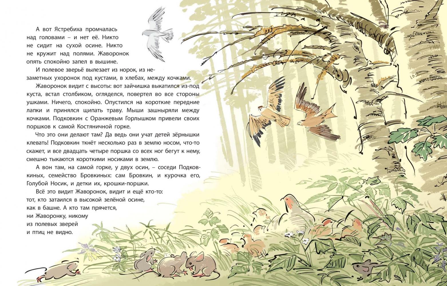Оранжевое Горлышко [Виталий Бианки] купить книгу в Киеве, Украина ...
