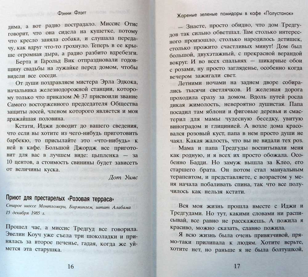 Жареные зеленые помидоры в кафе "Полустанок" — Фэнни Флэгг | Купить ...