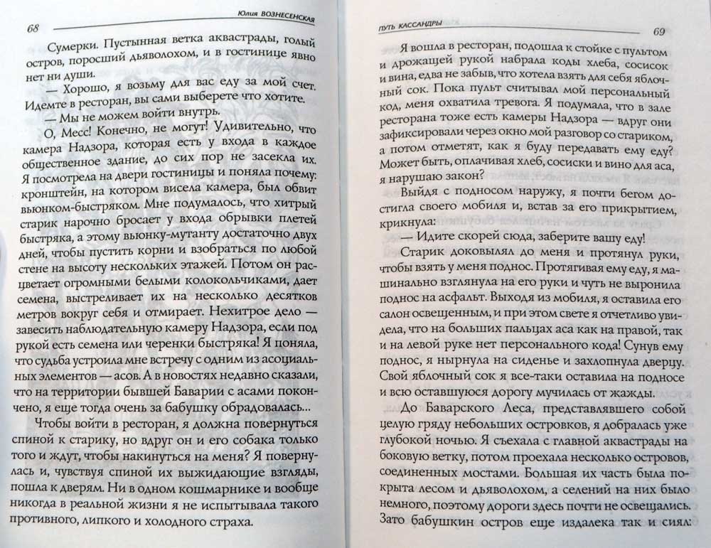 Путь Кассандры, или Приключения с макаронами — Юлия Вознесенская ...