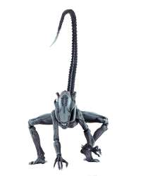 Фигурка Alien vs. Predator (Arcade Appearance) - Arachnoid Action Figure