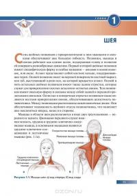 Анатомия упражнений на растяжку — Арнольд Нельсон, Юко Кокконен #10