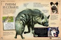 Коллекция костей. Черепа — Камилла де ла Бедуайер #2