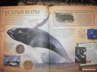 Коллекция костей. Черепа — Камилла де ла Бедуайер #9