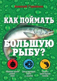 Как поймать большую рыбу? — Алексей Горяйнов #3