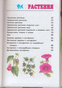 От земли до неба. Атлас-определитель. Пособие для учащихся общеобразовательных учреждений. ФГОС — Андрей Плешаков #37