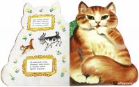 Котик-коток #7