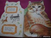 Котик-коток #14