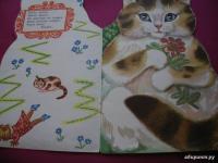 Котик-коток #16