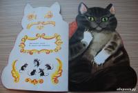 Котик-коток #30