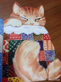 Котик-коток #37