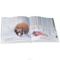 Зимние сказки (комплект из 3 книг) — Люк Купманс #4