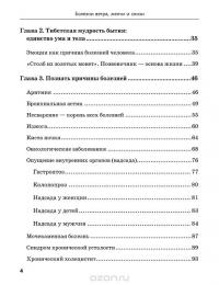 Тибетская медицина. Единство тела, разума и духа. О болезнях ветра, желчи и слизи — Светлана Чойжинимаева #3