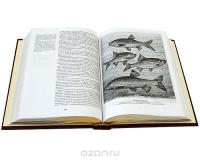 Жизнь и ловля пресноводных рыб (подарочное издание) — Леонид Сабанеев #6
