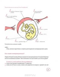 Умная мама. Как подготовиться к рождению ребенка за три дня — Елена Анциферова #16