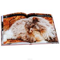 Всё о кошках. Большая иллюстрированная энциклопедия #3