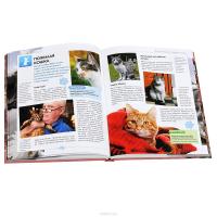 Всё о кошках. Большая иллюстрированная энциклопедия #4