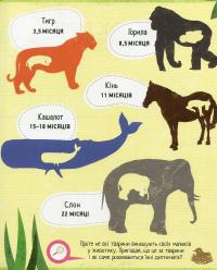 Інфографіка для дітей. Книжка із завданнями — Мартино Сьюзан #8