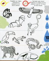 Інфографіка для дітей. Книжка із завданнями — Мартино Сьюзан #10